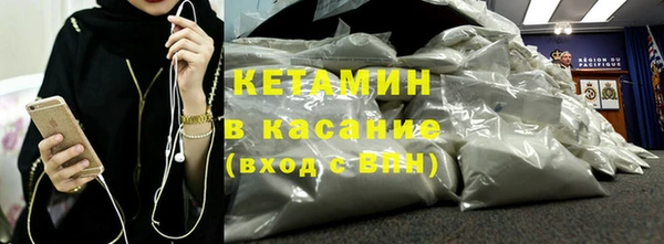 сатива Аркадак