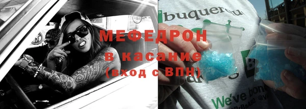 сатива Аркадак