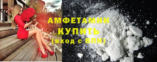 сатива Аркадак