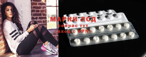 амф Арсеньев