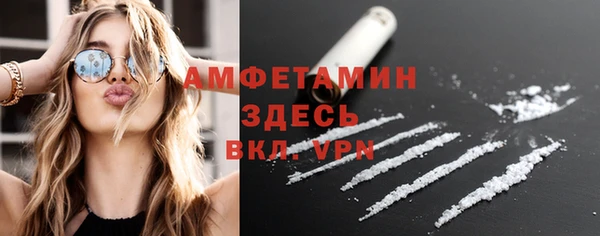 сатива Аркадак