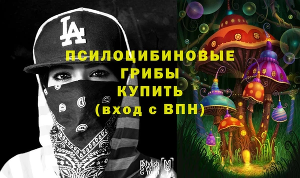 скорость Гатчина