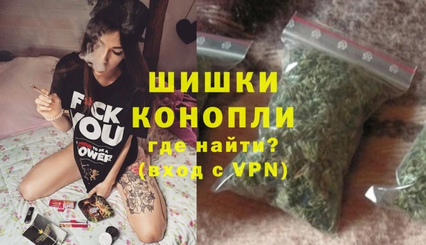 сатива Аркадак
