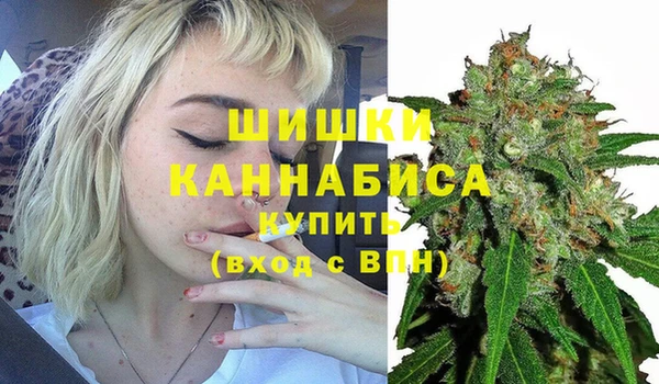 сатива Аркадак