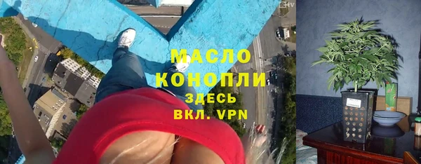 сатива Аркадак