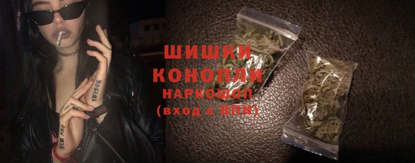 сатива Аркадак
